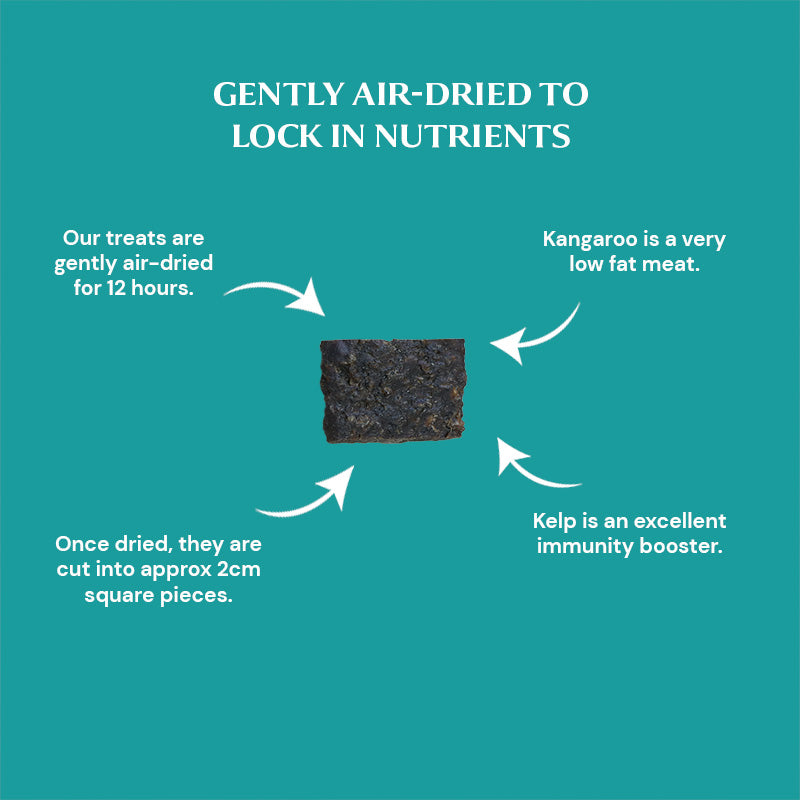 Provenance Pet Food is gently air-dried to lock in nutrients